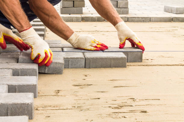 Best Residential Paver Driveway  in Somerton, AZ
