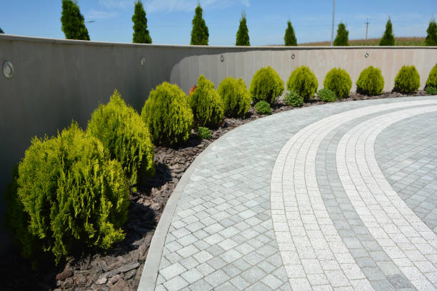 Best Custom Driveway Pavers  in Somerton, AZ