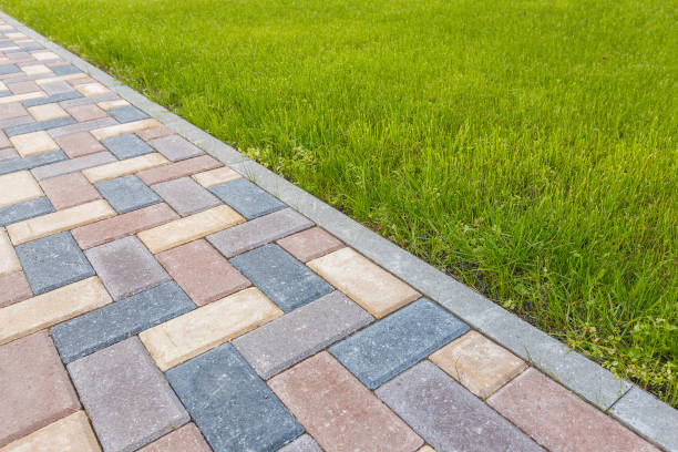 Best Concrete Paver Driveway  in Somerton, AZ